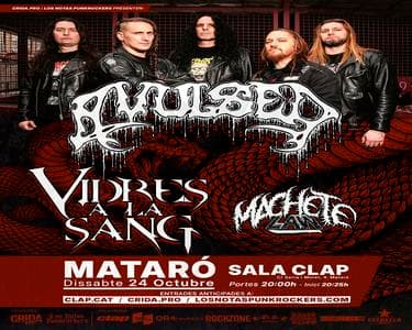 alt_im: AVULSED + VIDRES A LA SANG + MACHETE LAW