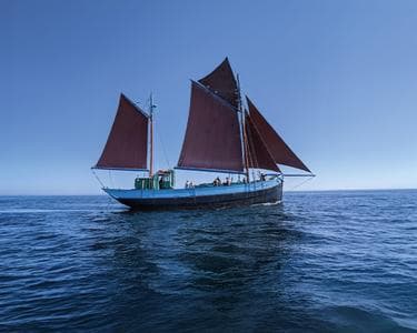 alt_im: VISITAS A NOTRE DAME DE RUMENGOL