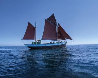 alt_im: NAVEGACIÓN EN NOTRE DAME DE RUMENGOL